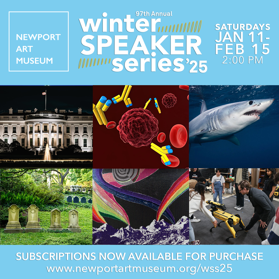 Winter Speaker 25 Square