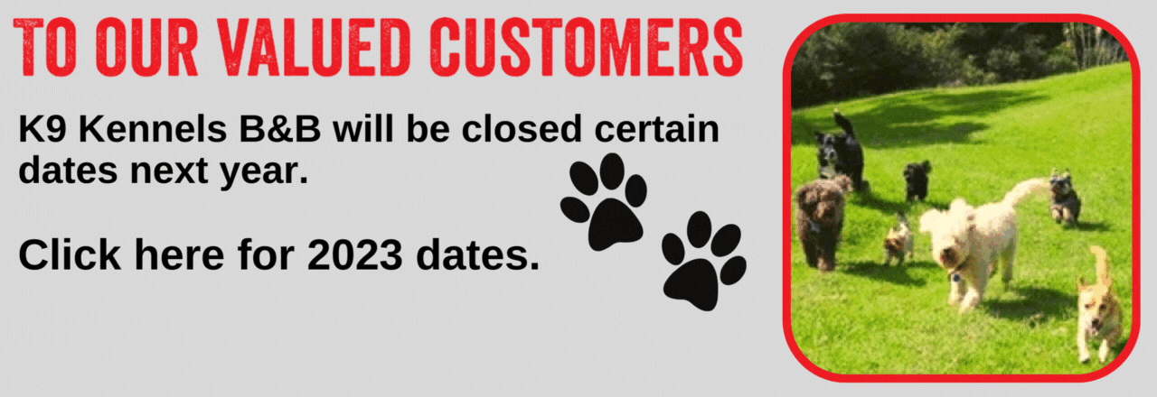 k9 b and b boarding kennels