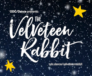 Velvet Rabbit 
