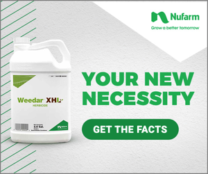 NTF_BLOCK_WEB (0425) JPG