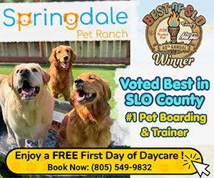 Springdale Pet Ranch: Rectangle 6/2025