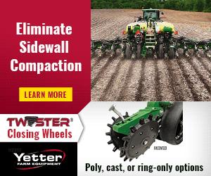 NTF_BLOCK_WEB (0425) GIF