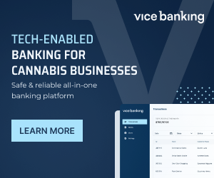 Vice Banking - Mobile